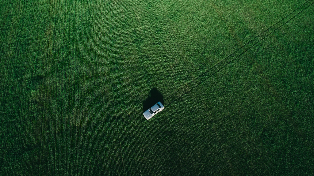 Into the grass ocean by Alex Karamanov on 500px.com