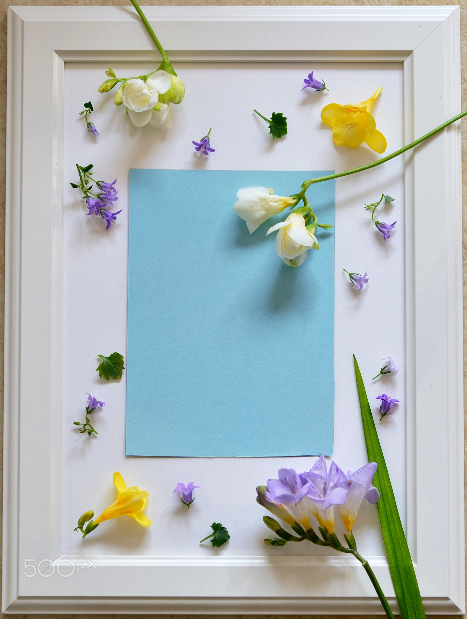 Spring freesia flowers on empty photo frame