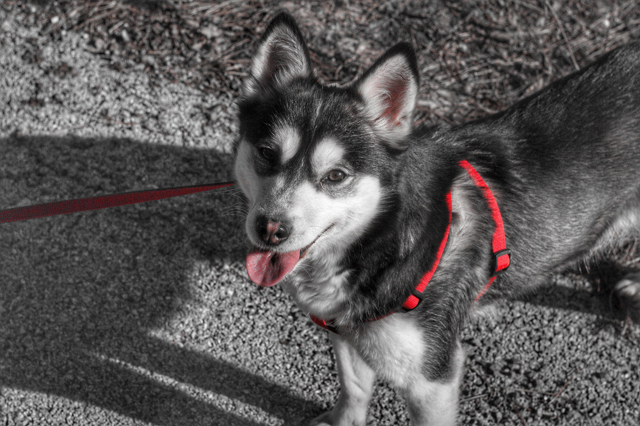 v2?sig=1f6cffecb27935fd20d812f8b1d7782ba10c7a0aa66e105c377fbd79390cbbab