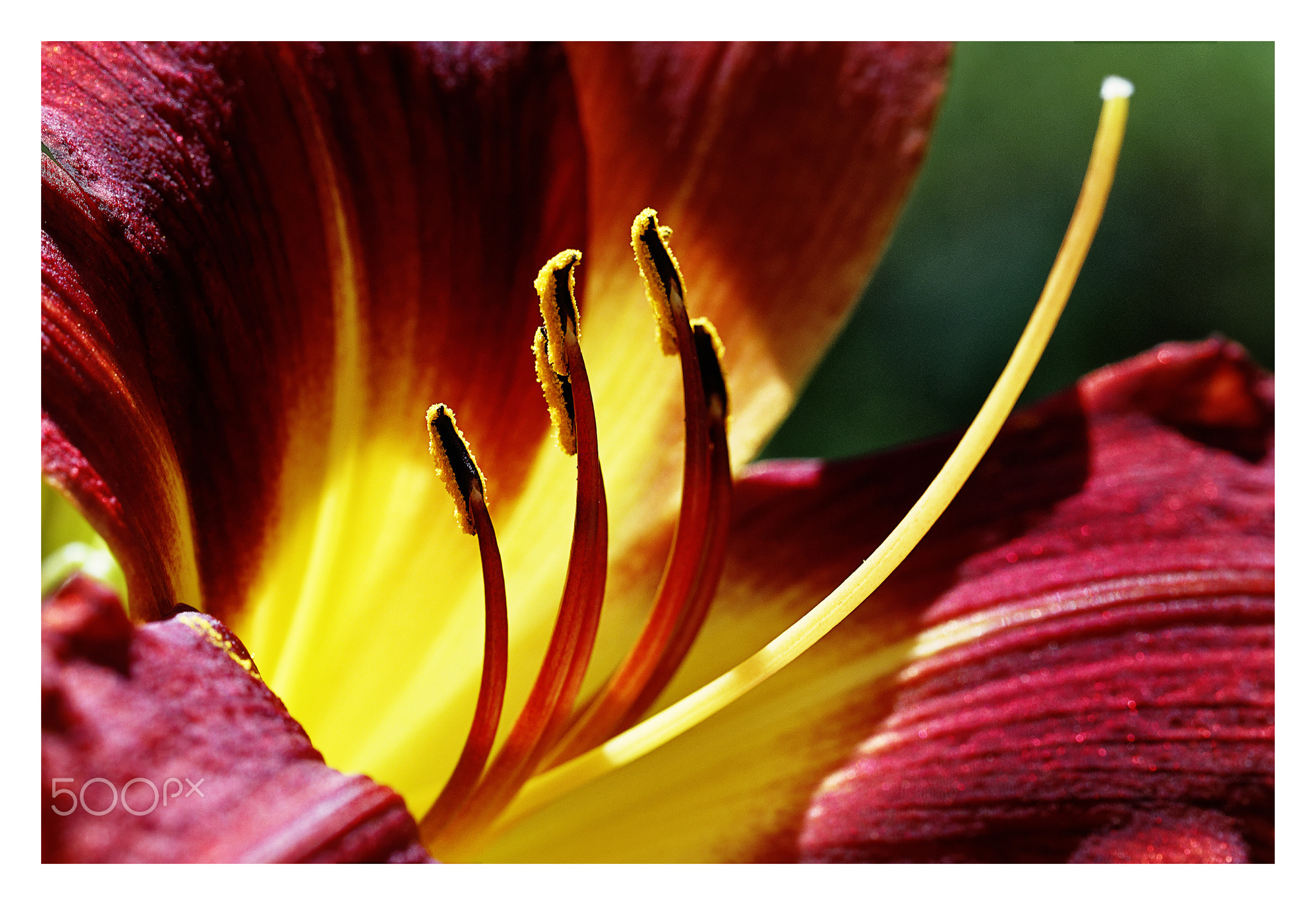 Natura