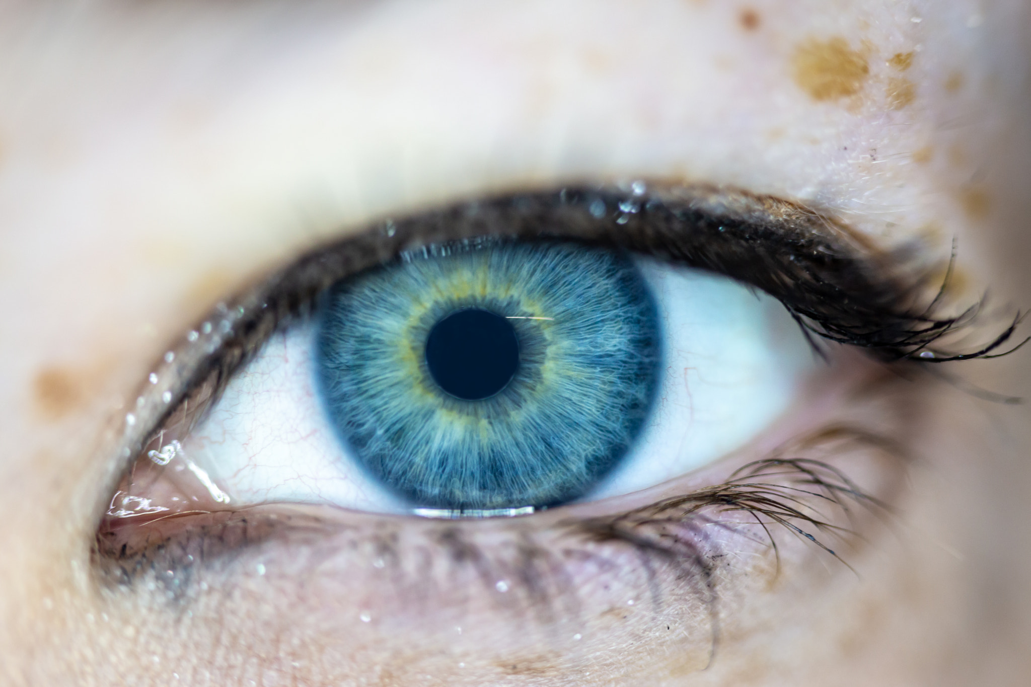 v2?sig=6e955ca4d8a45fa7884255a6758a7641f586a963e49a38a688e5483214c84d6d