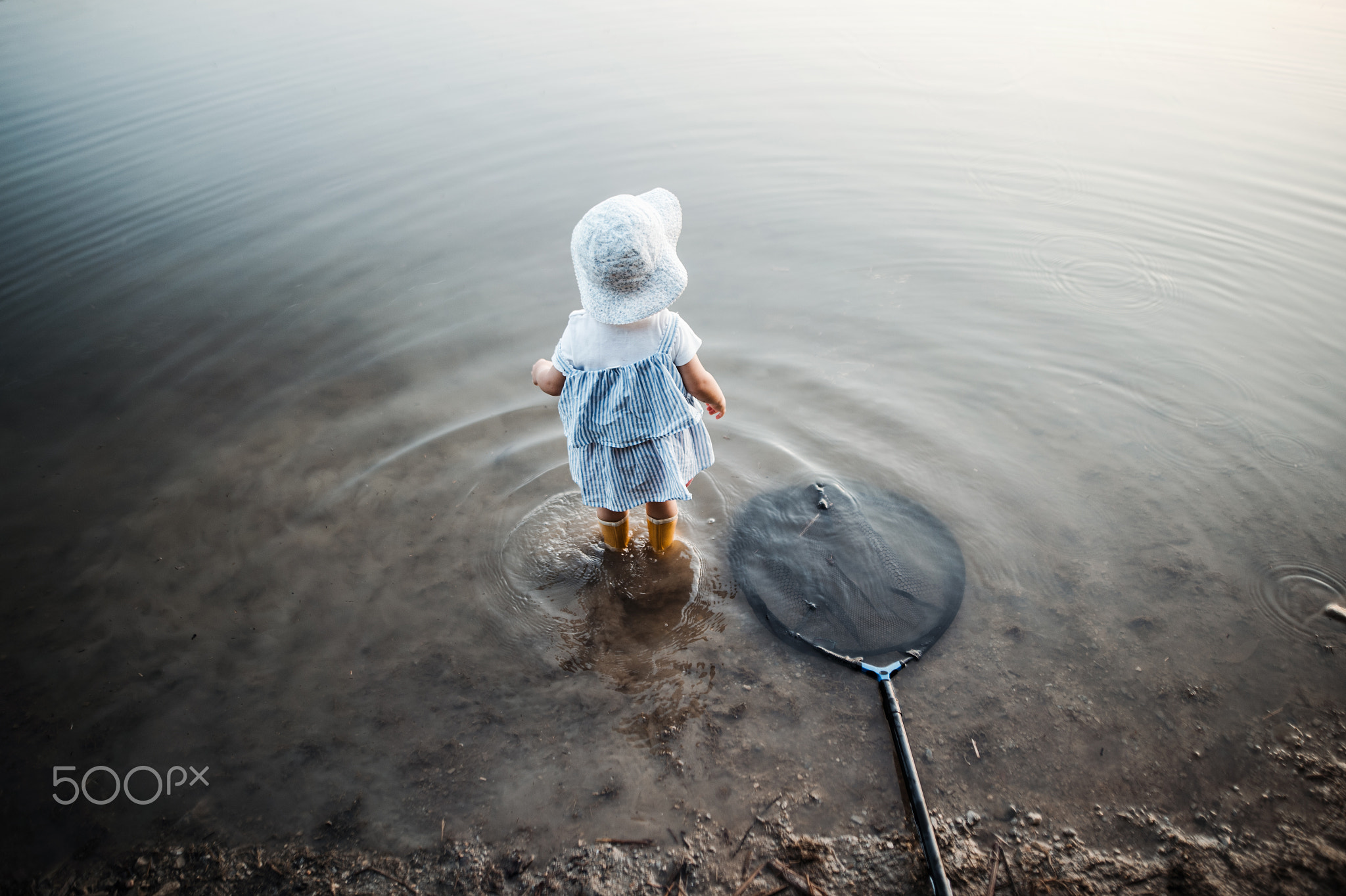 A rear view of small toddler girl standing in water in a lake, a fishing net next to her.