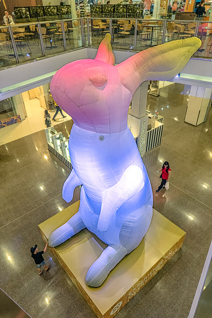 Experience An Oversized Easter by Paul Amyes on 500px.com