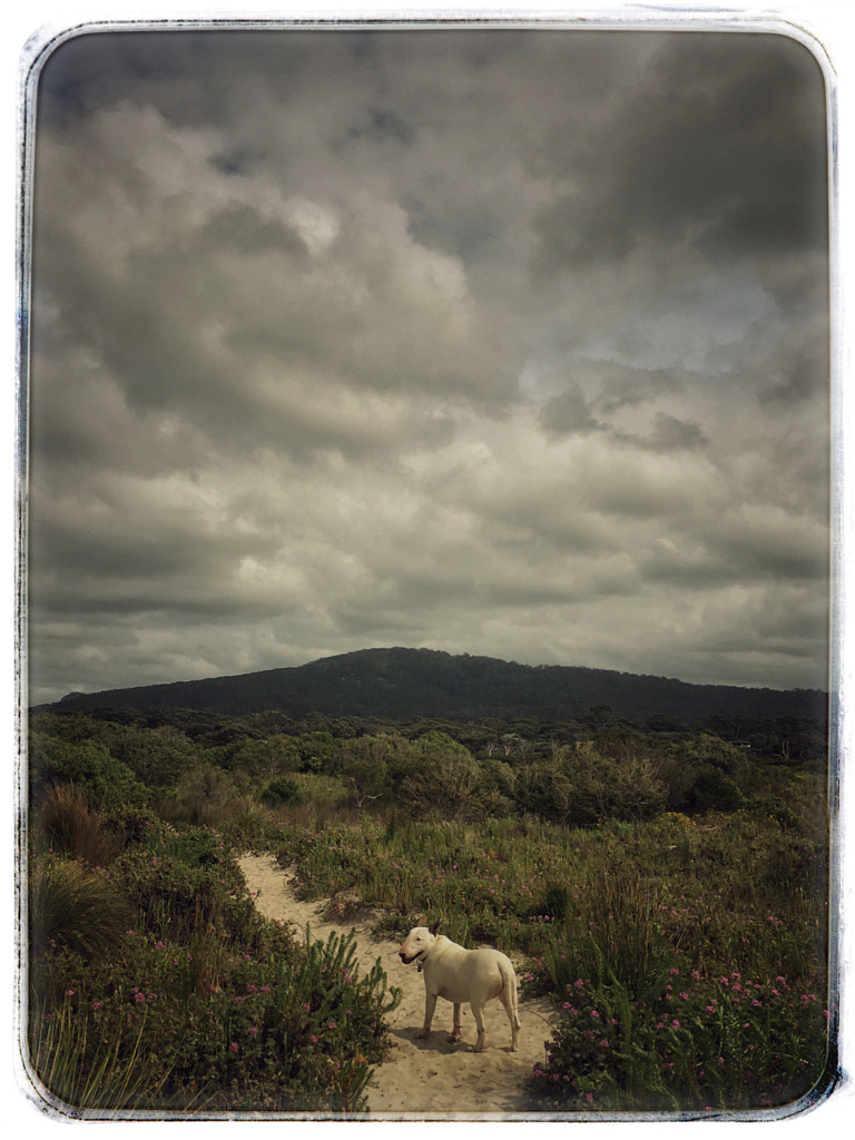 Frida in Denmark by Paul Amyes on 500px.com