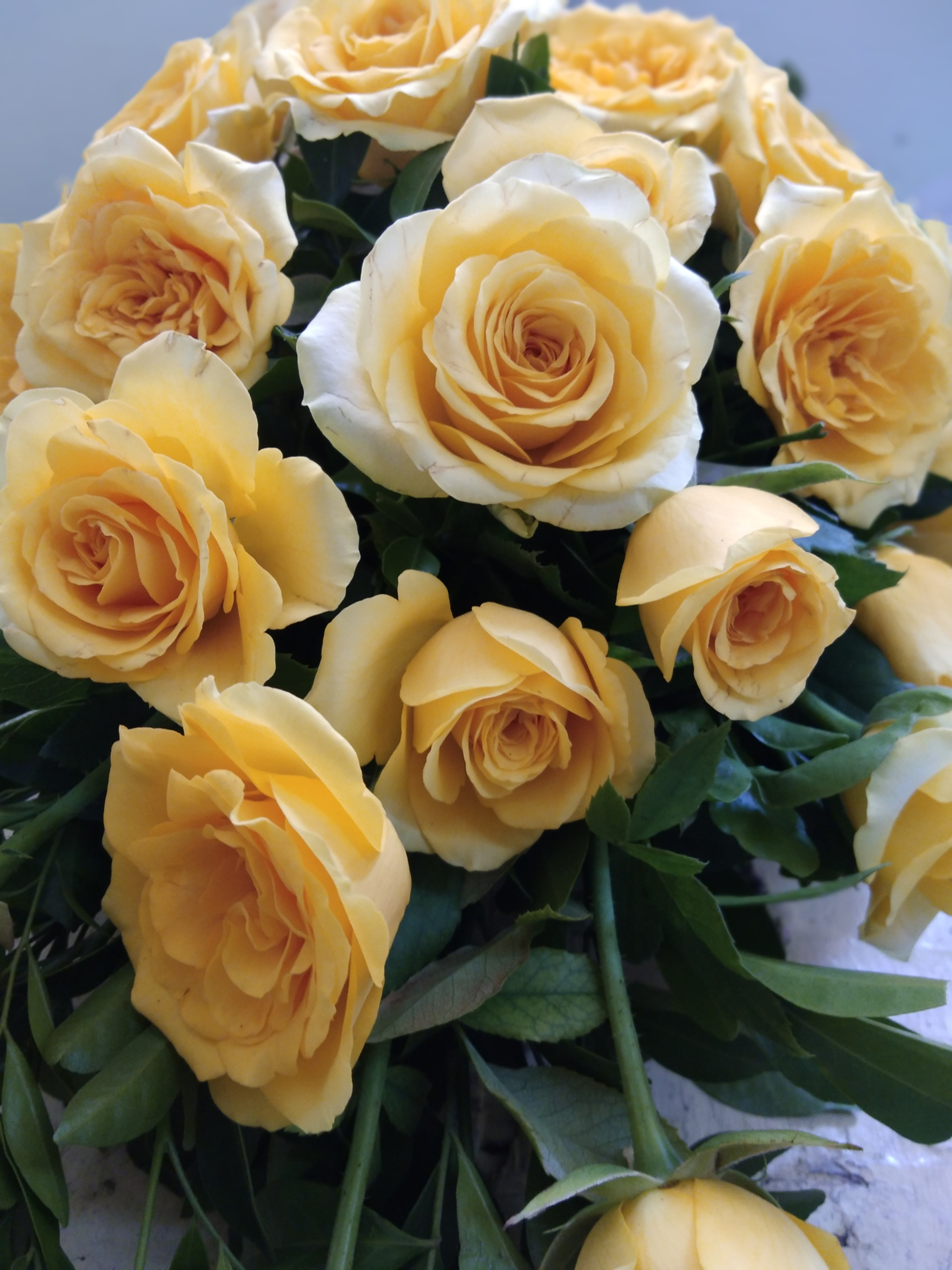 v2?sig=fdc3cd8966bd2153440590e896ba730cfbe9d651413509e7aa9869662bfb5302