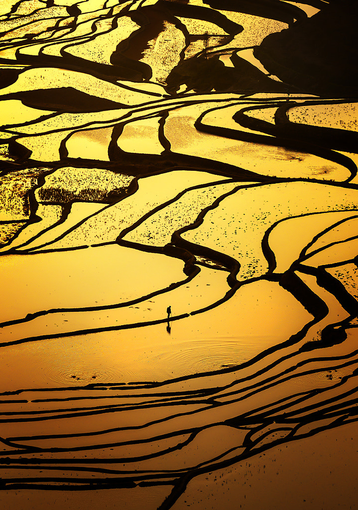 Yuanyang rice terraces(????) #1 by Woosra Kim on 500px.com