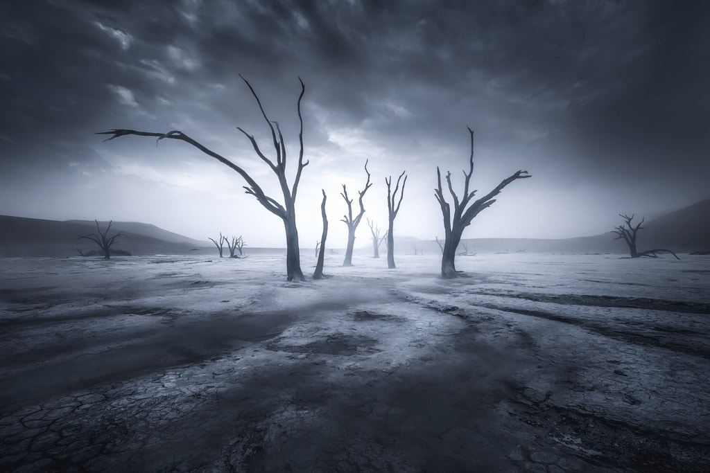 Relic of the River by Ryan Dyar on 500px.com