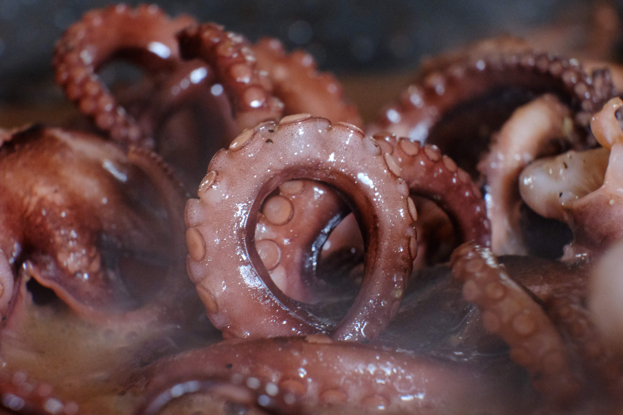 Kraken