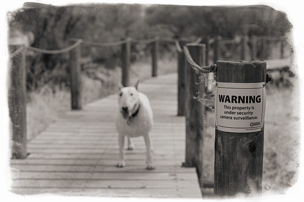 Warning by Paul Amyes on 500px.com