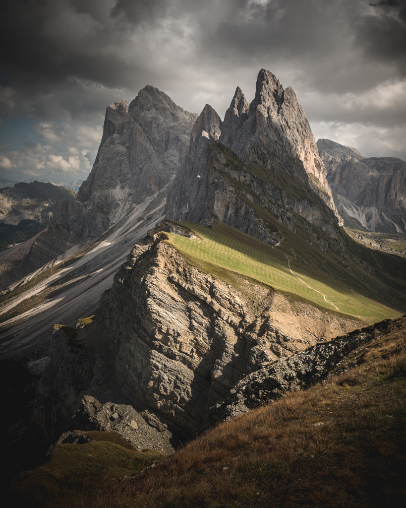 Seceda, Dolomites, Italy by David Durcak on 500px.com