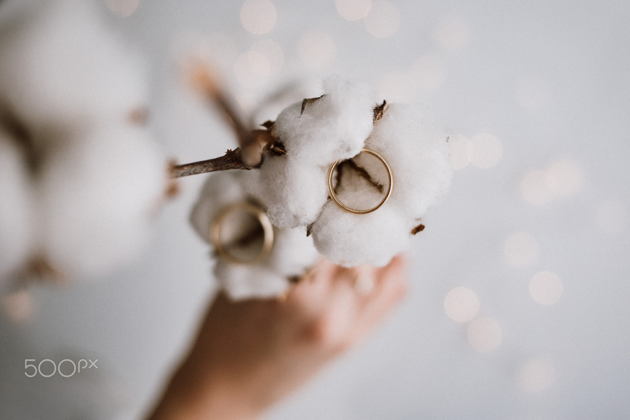 Wedding rings on cotton with bokeh