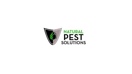 Pest Control Companies Chilliwack