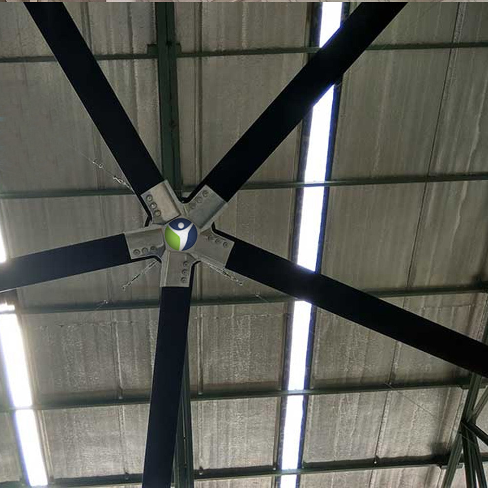 Large Ceiling Fan