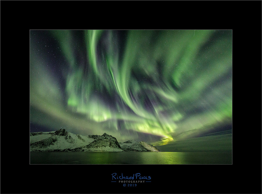Aurora Borealis Tungeneset by Richard Paas on 500px.com