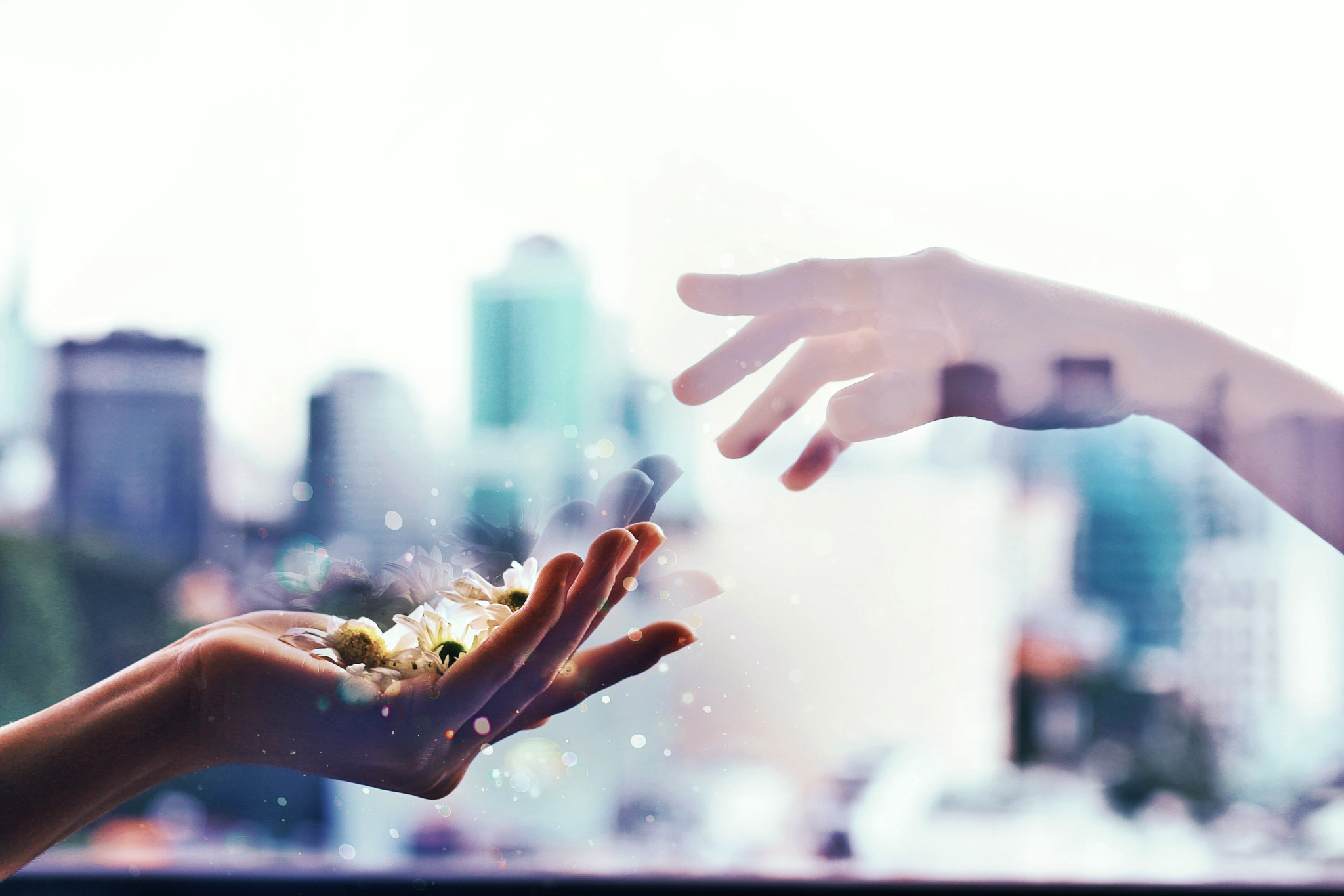 If You Are Not An Illusion