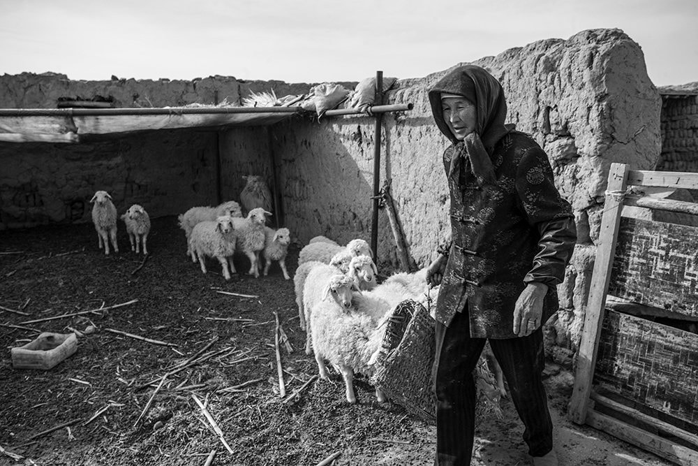 v2?sig=25b0f792f8fee58a08904a09505ecd75d4422b16cb3f607cdd18a381b5cc8c8c