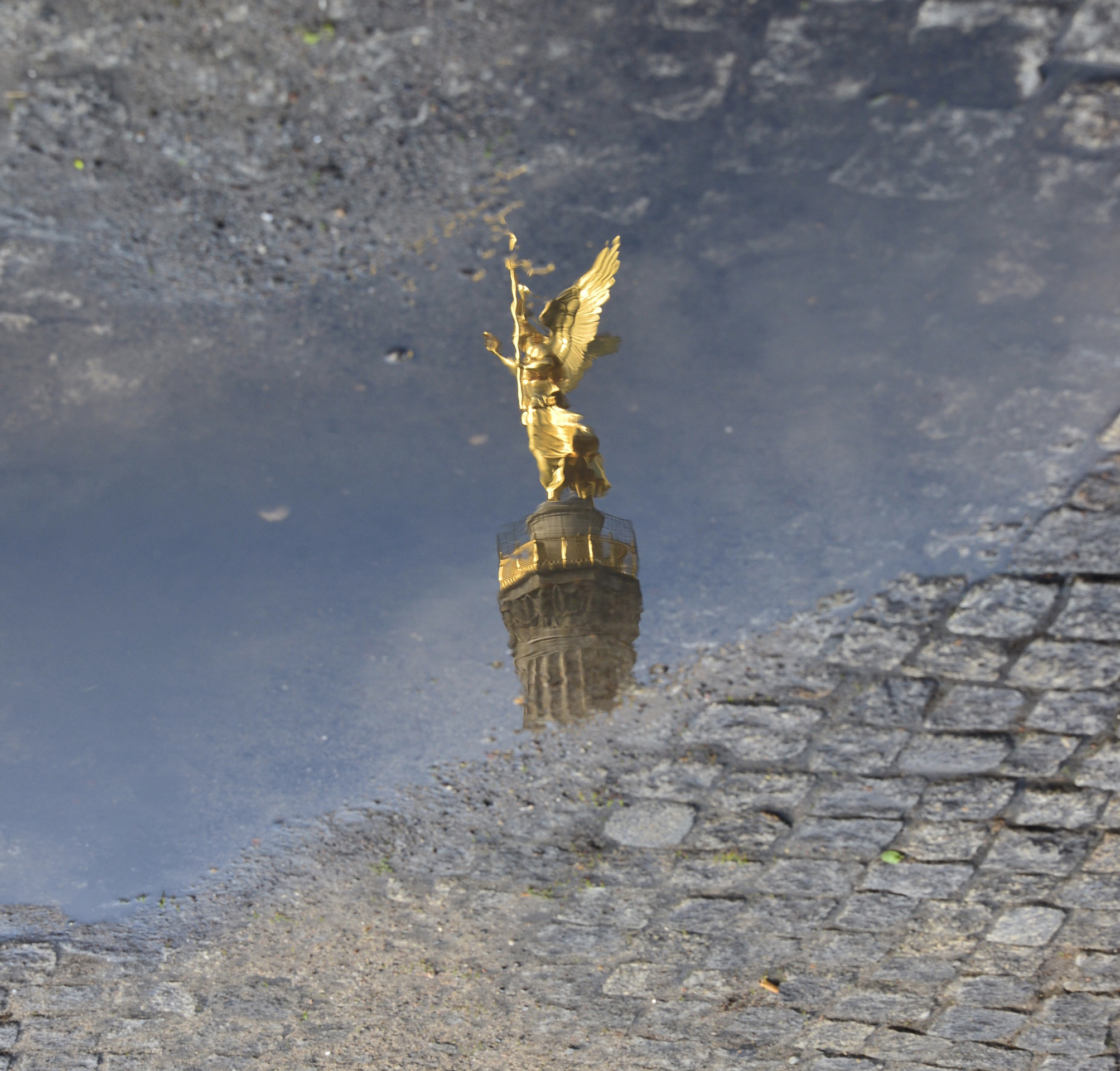 Angel & Puddle