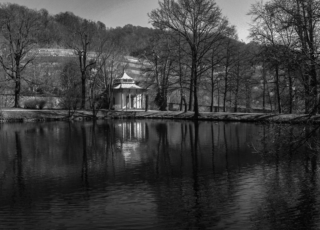 pillnitz IV by dirk derbaum on 500px.com