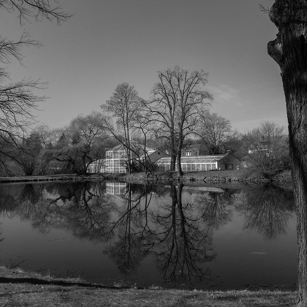 pillnitz VI by dirk derbaum on 500px.com