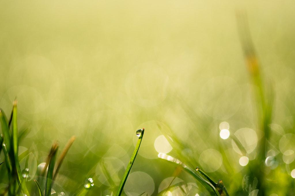 La Goutte d'Eau by Baptiste Nelic on 500px.com