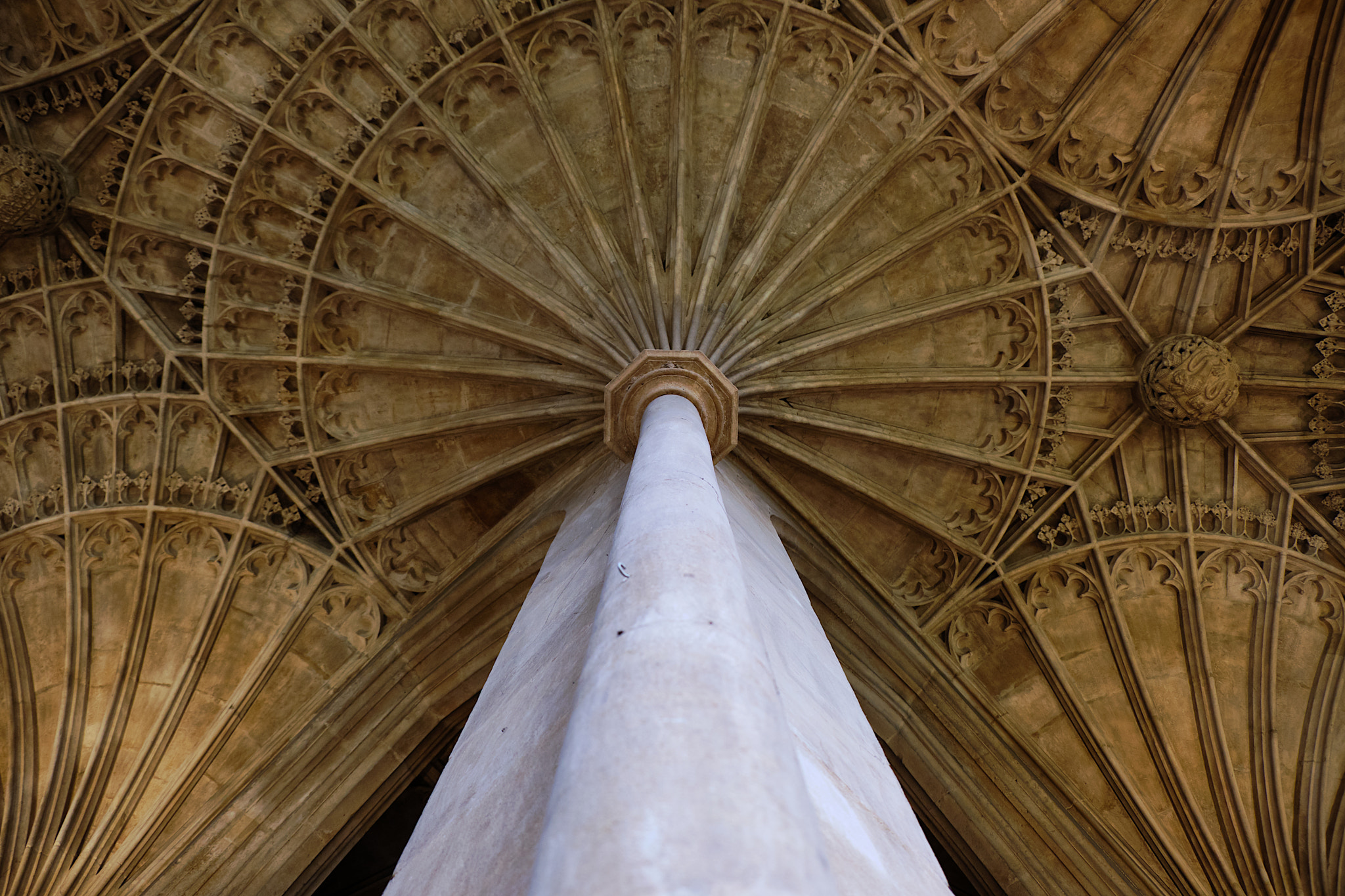 Cathedral Column