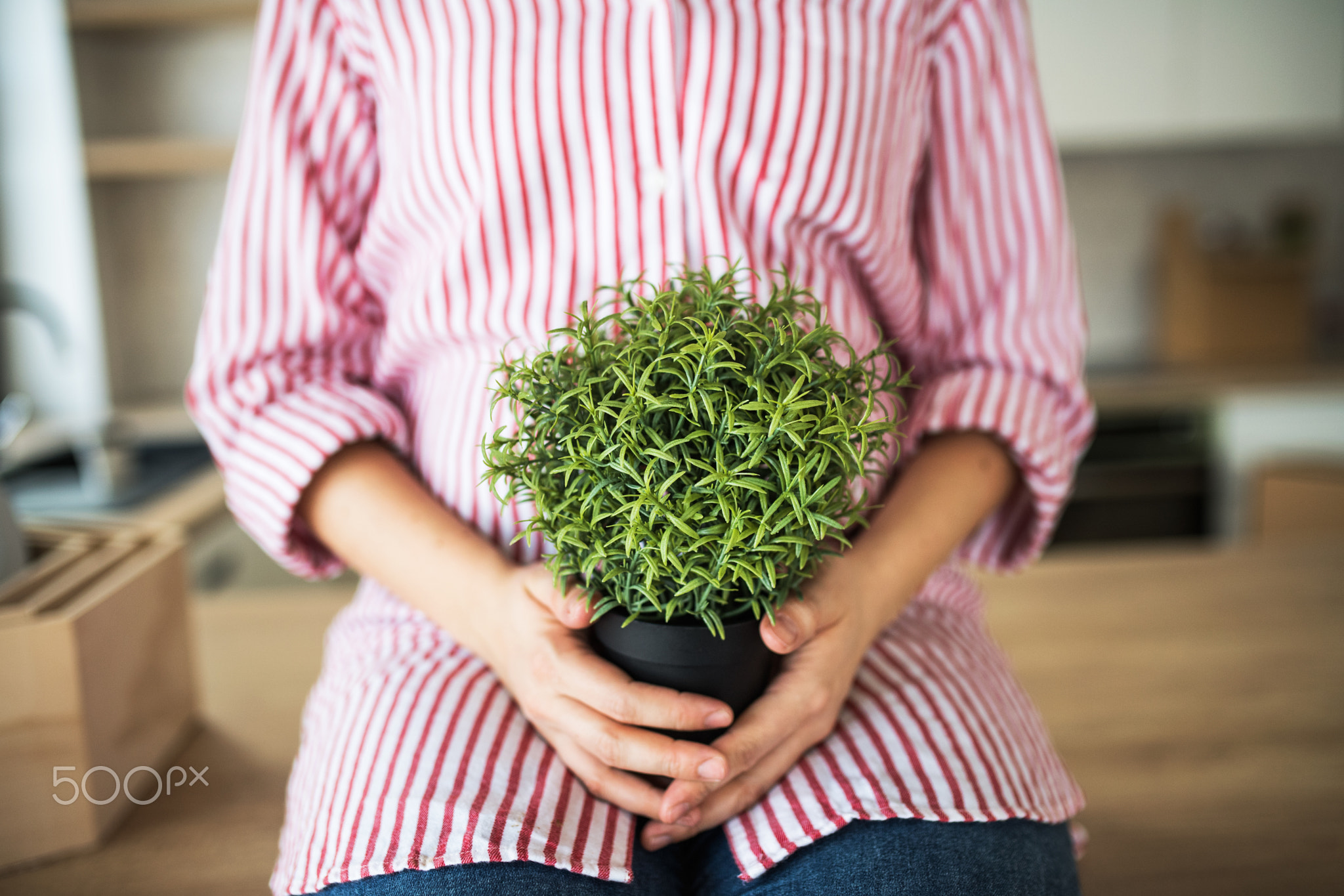 A midsection of young woman with plant moving in new home.