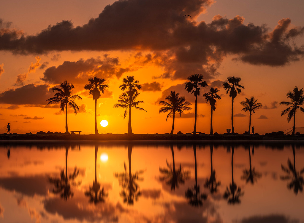 Miami Sunrise  by Brian Vargas on 500px.com