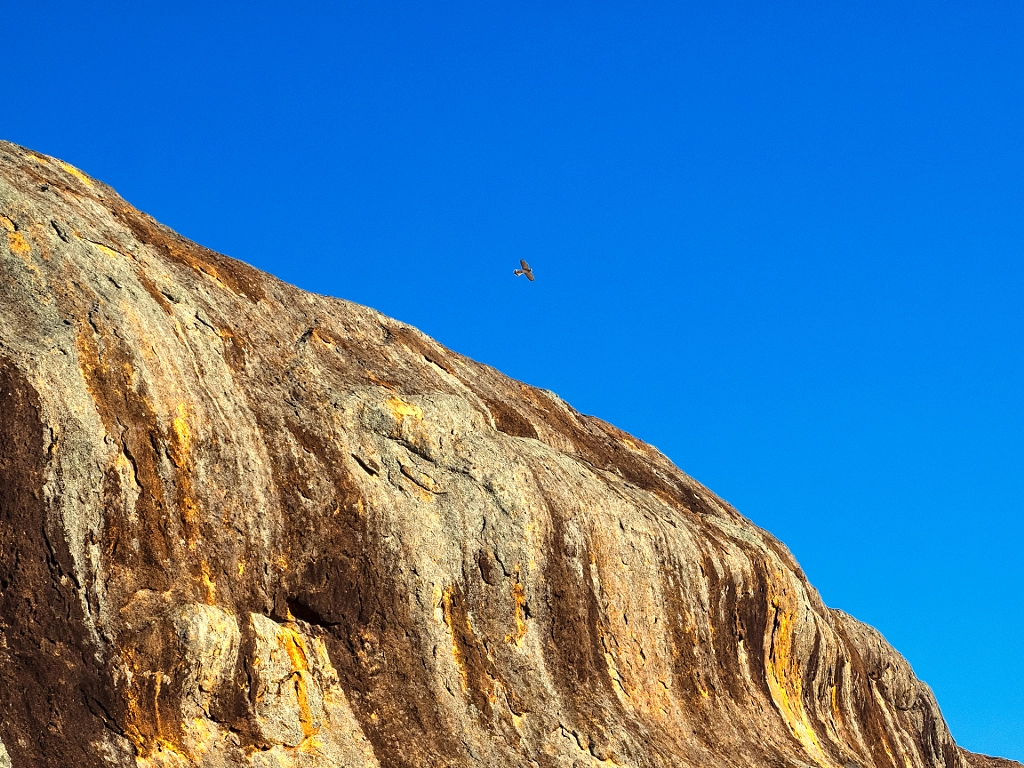 Soaring Over The Humps by Paul Amyes on 500px.com
