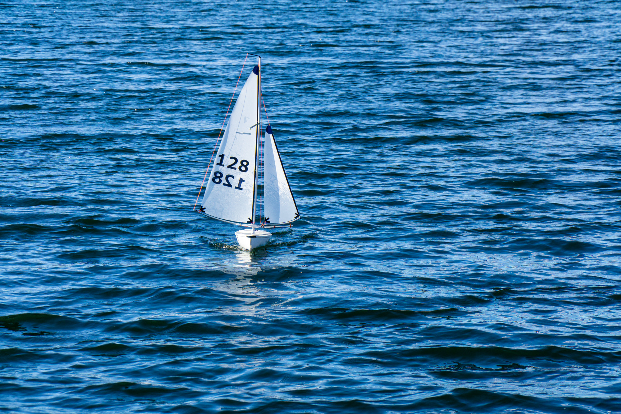 Remote controlled sailboat