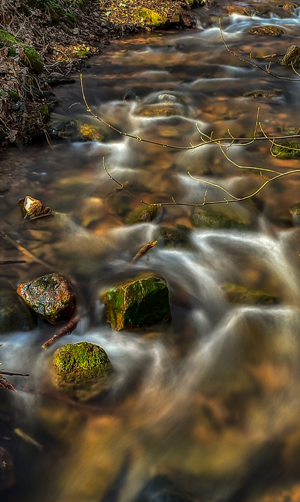 creek I by dirk derbaum on 500px.com