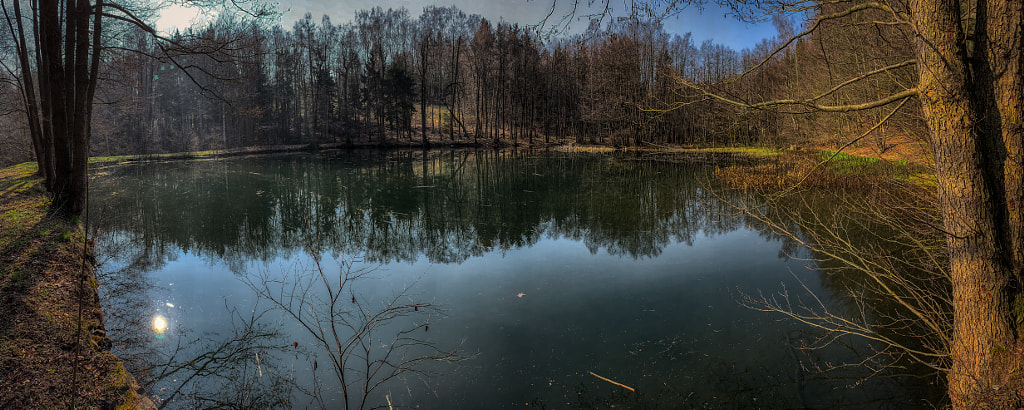 froschteich by dirk derbaum on 500px.com