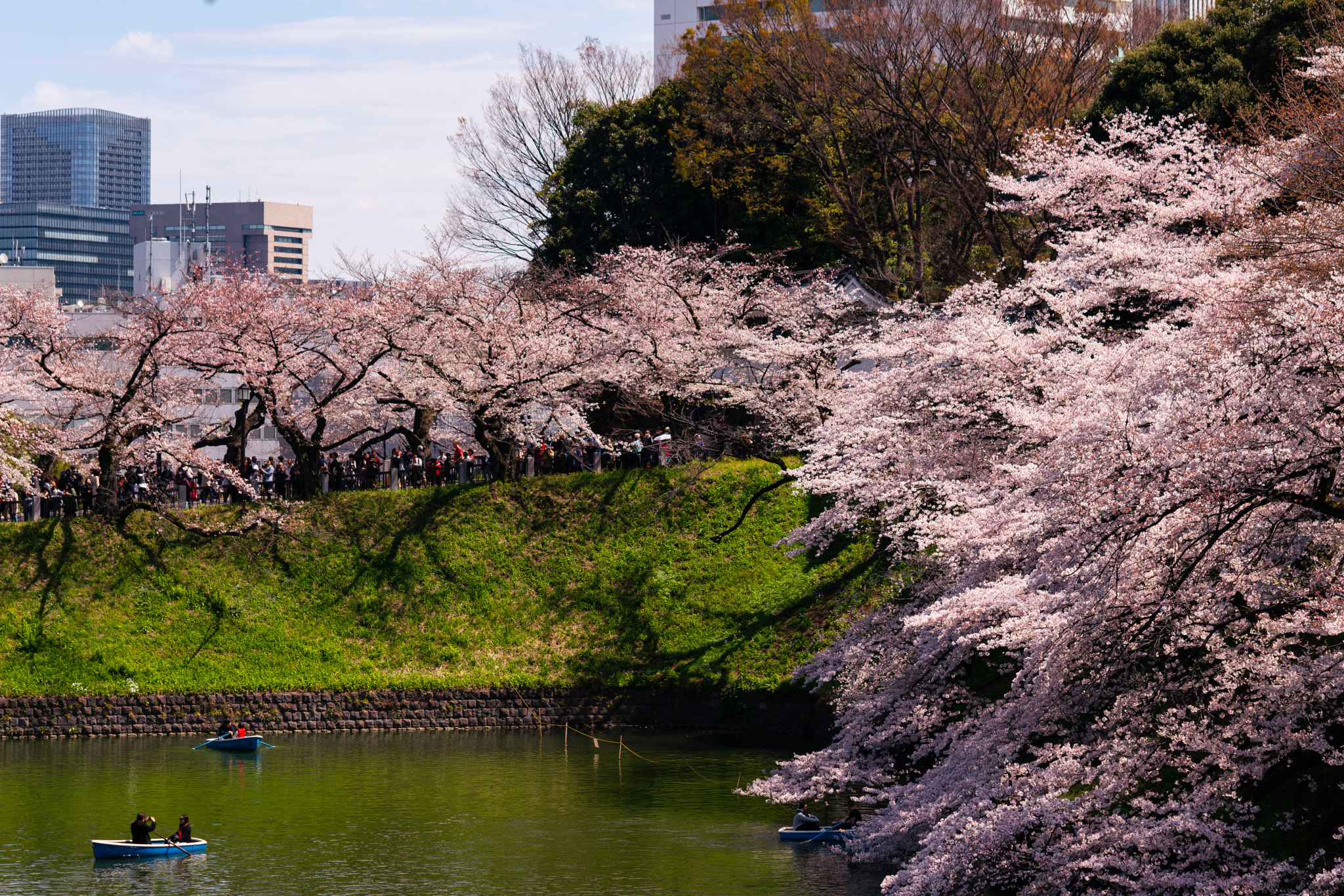 v2?sig=445feac805bc632f8e3e38cc5be53aa086a5351ad1f9bd6b87c449a9c59ce8da