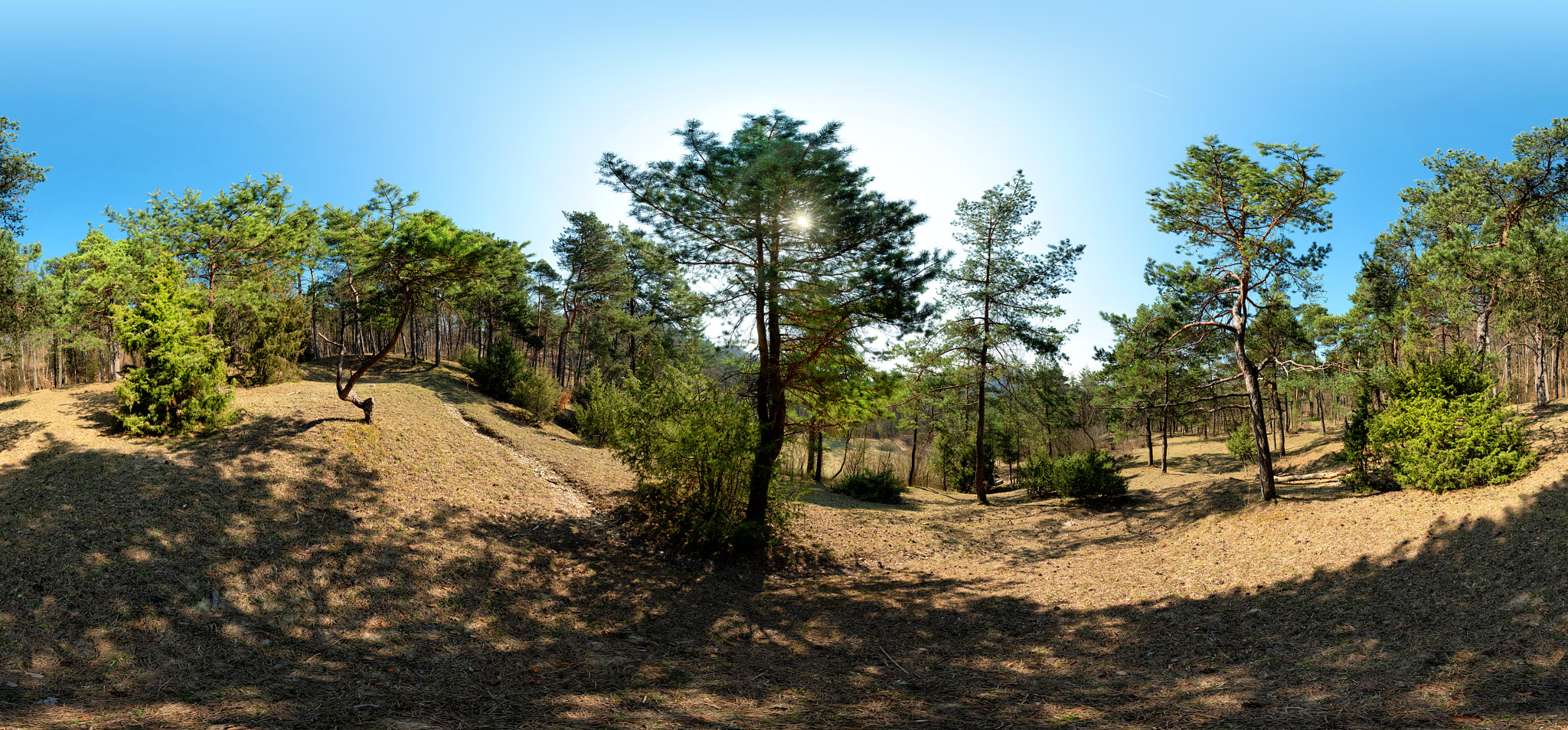 v2?sig=3c0e19cdfab5e2dd0b93ea939d7b8509709b31eb97ba783431390fd0bf7b73d6