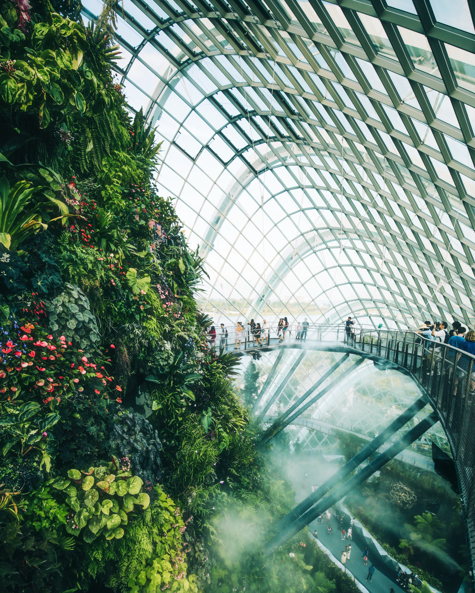 Cloud Forest Singapore, Gardens By The Bay
