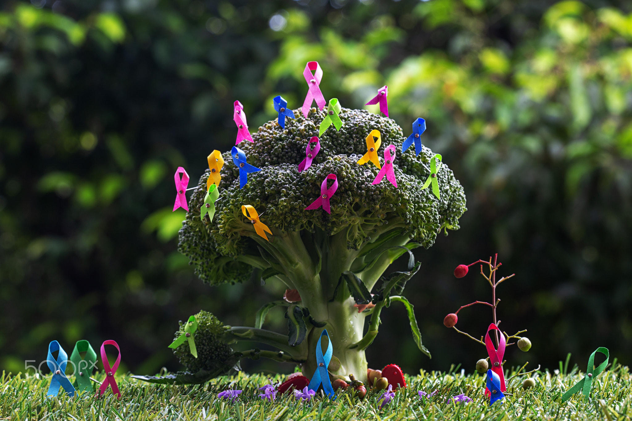 HOPE GARDEN