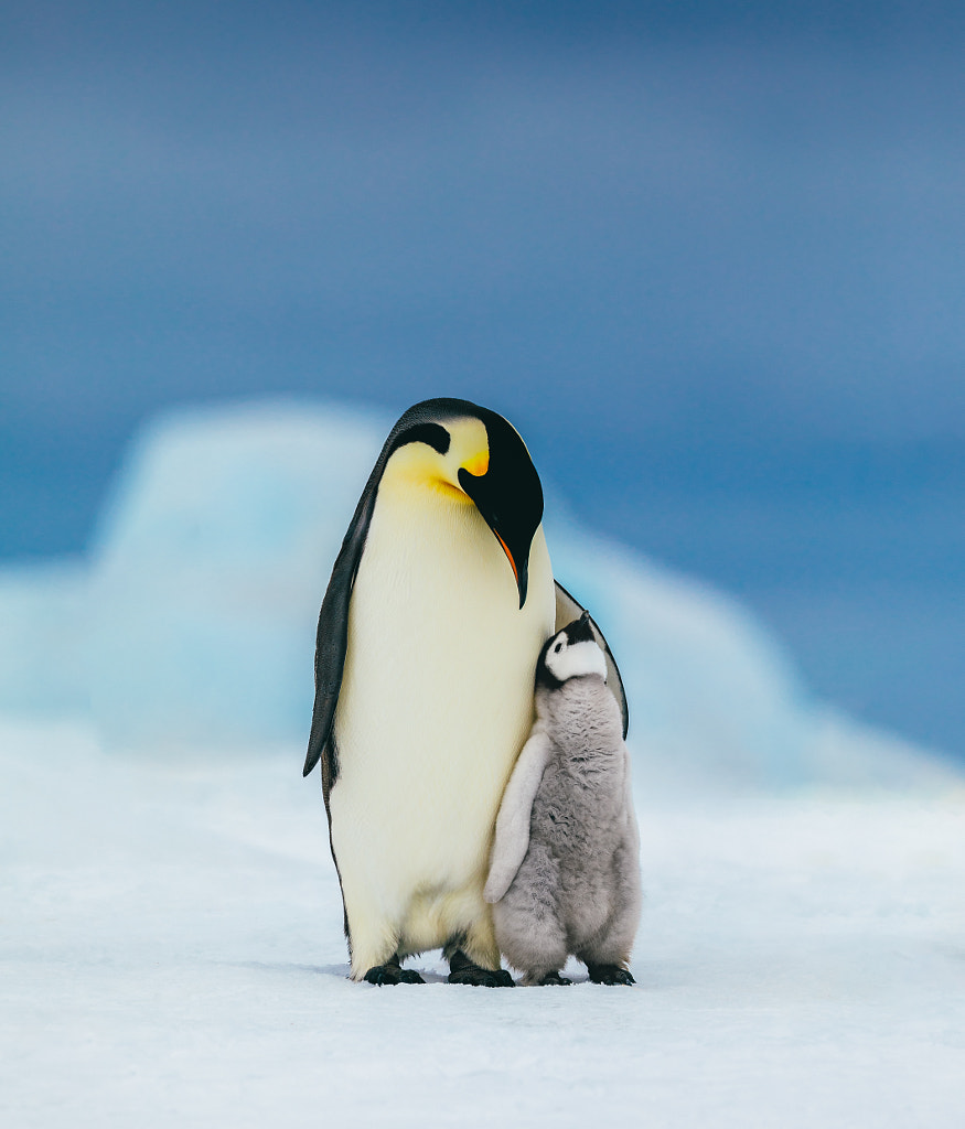 Family by David Merron on 500px.com