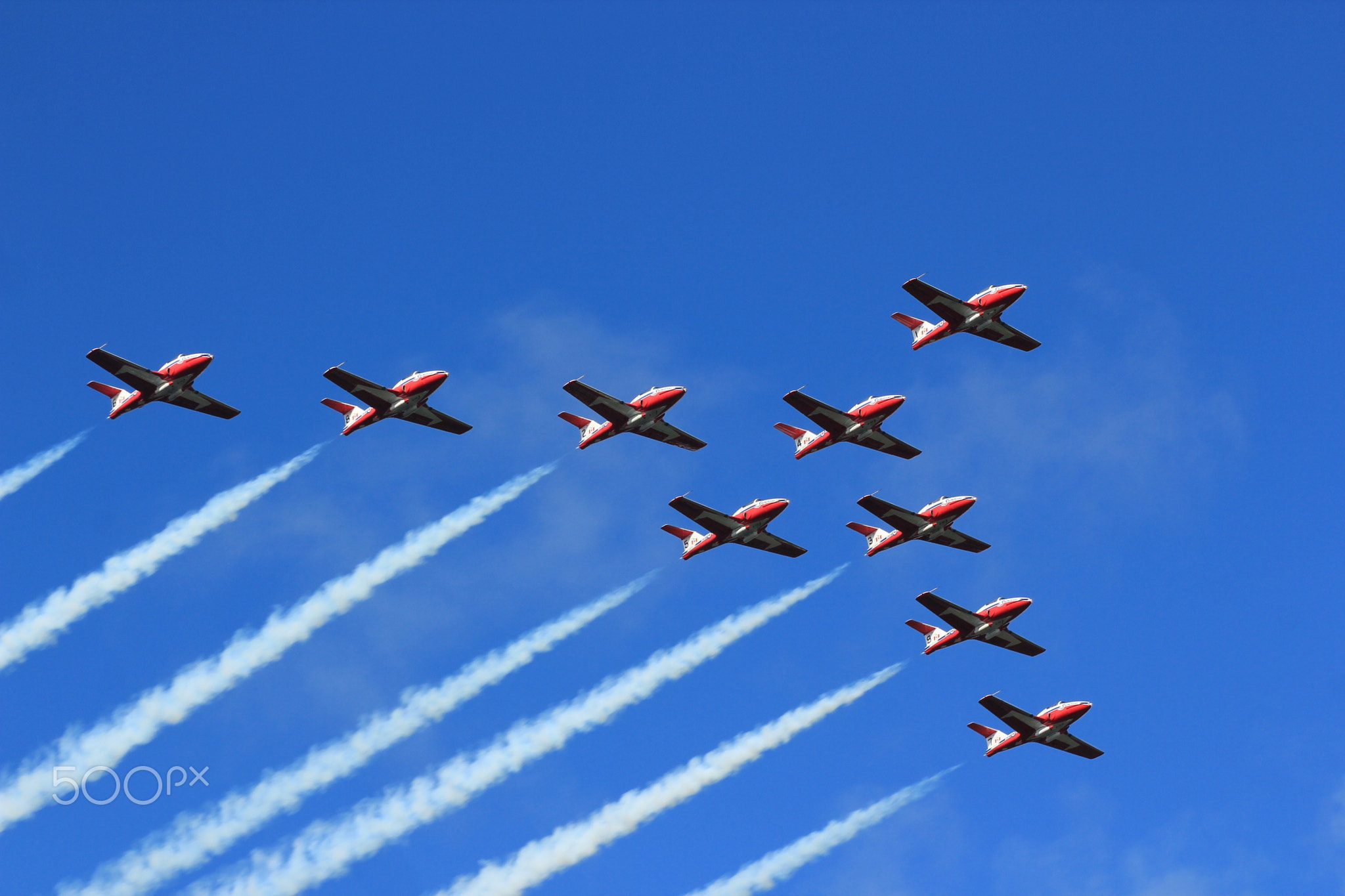 Snowbirds