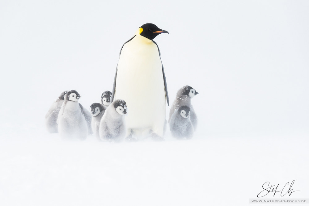 Kindergarten by Stefan Christmann on 500px.com