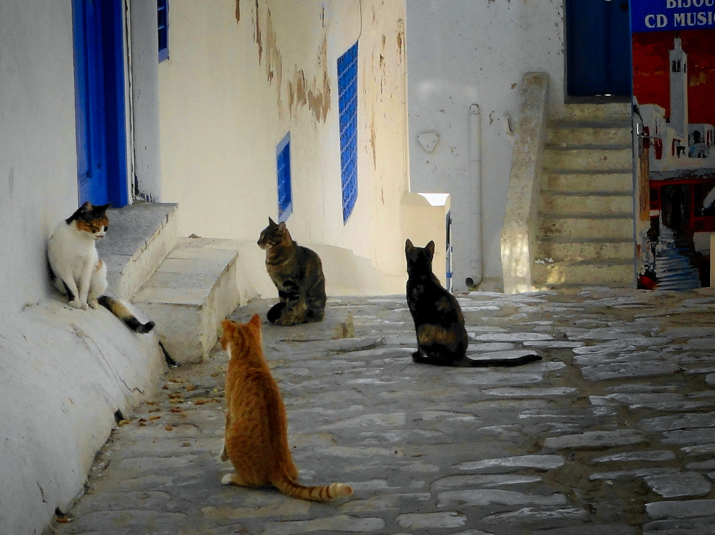 waiting for... by Jerzy Zieliński on 500px.com