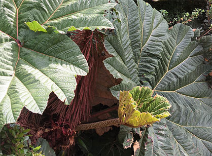 v2?sig=a83026fd3e8ec1886c09c072e3a363e685cff1228aee2d04666c480522fb7a4d