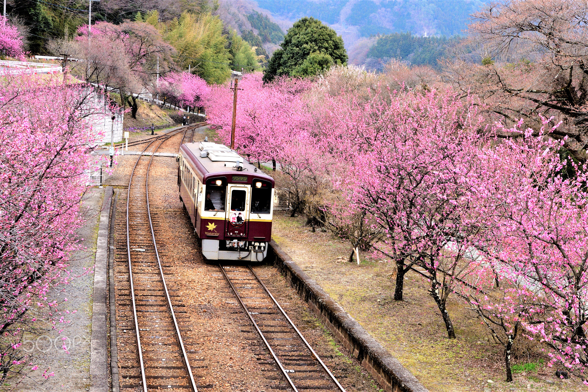花桃の駅
