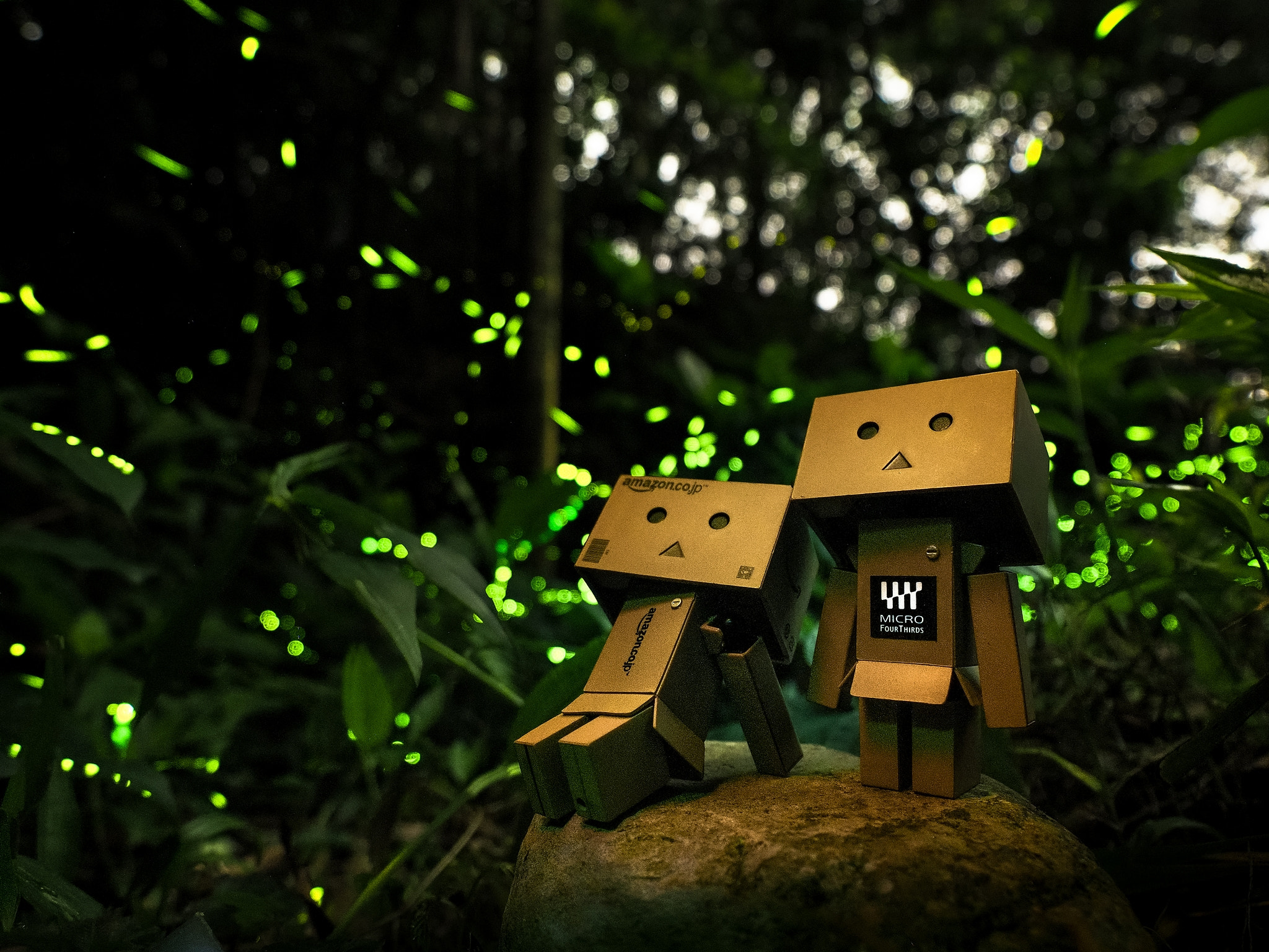 螢火蟲雙模 2019