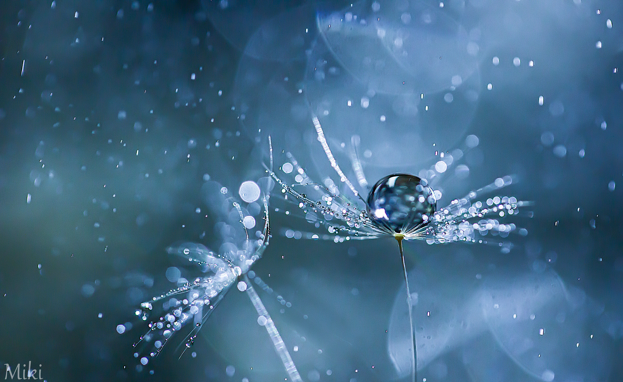 Falling Pearls by Miki Asai - Photo 30187791 / 500px