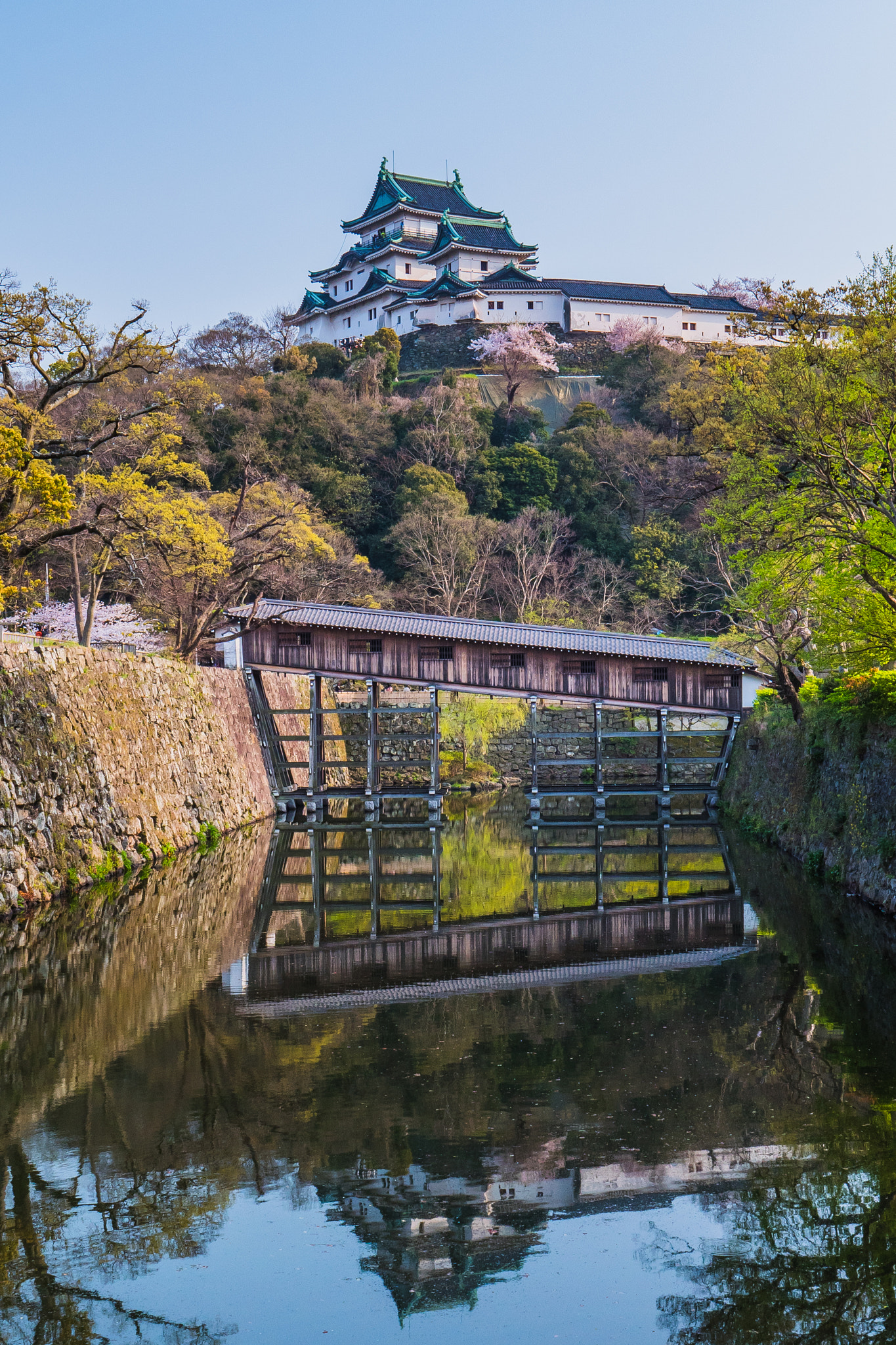 v2?sig=1e499f71962e5927c7fe617cbe0a33523