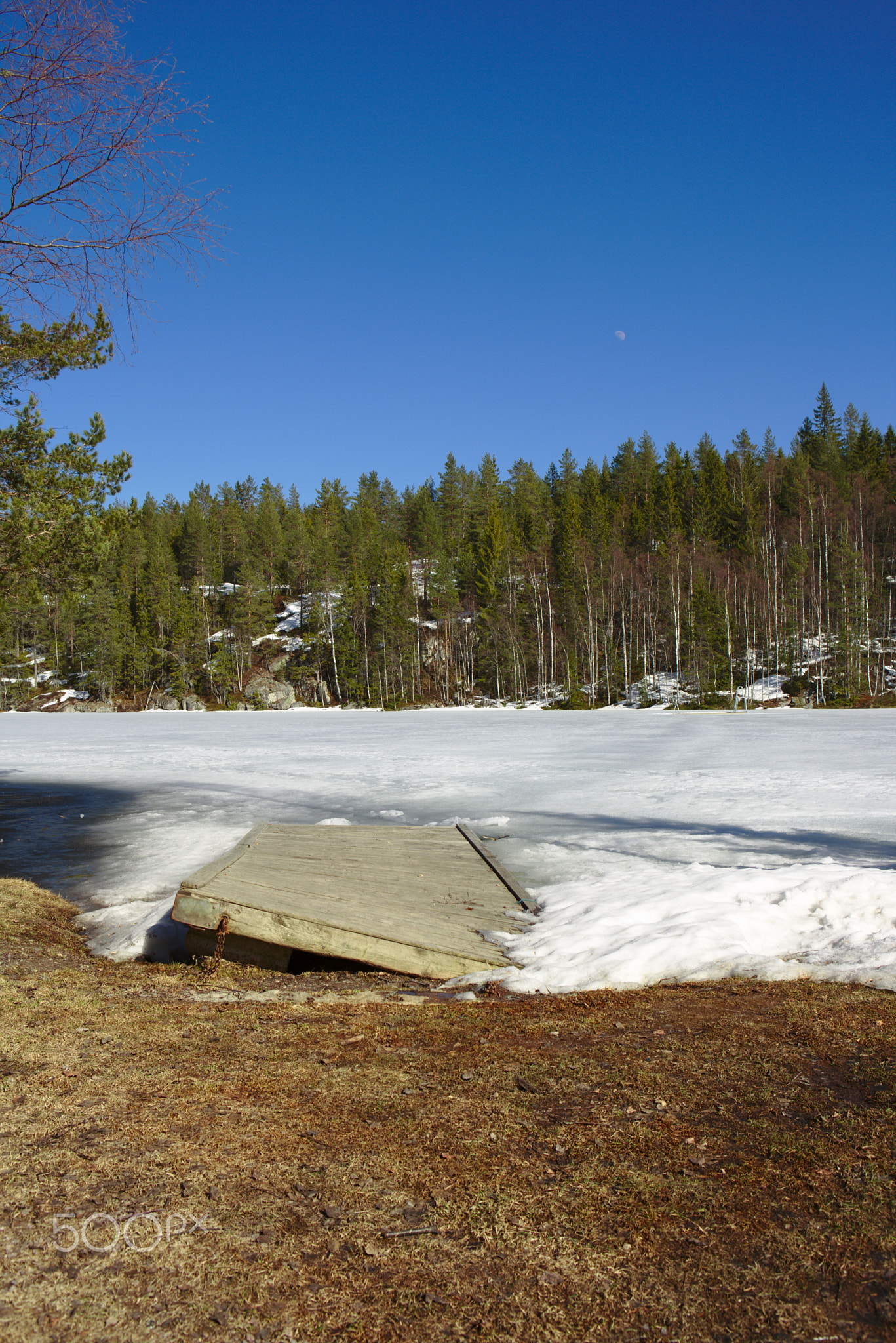 Høldippeldammen