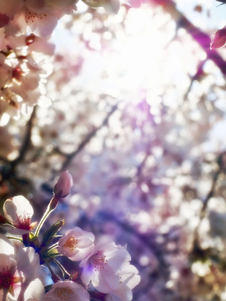An Awakening of Spring by Alan Drake Haller on 500px.com