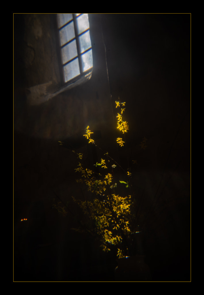 light by dirk derbaum on 500px.com