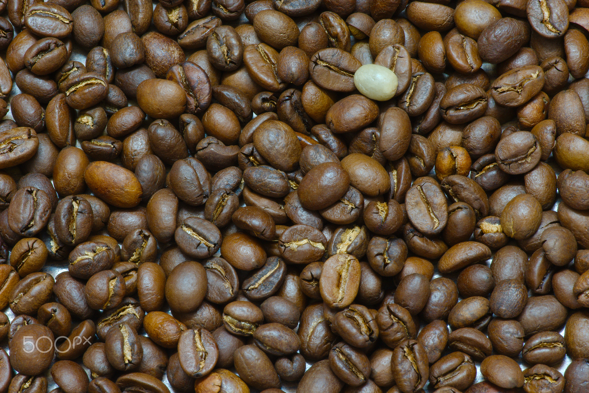 Roasted coffee beans one