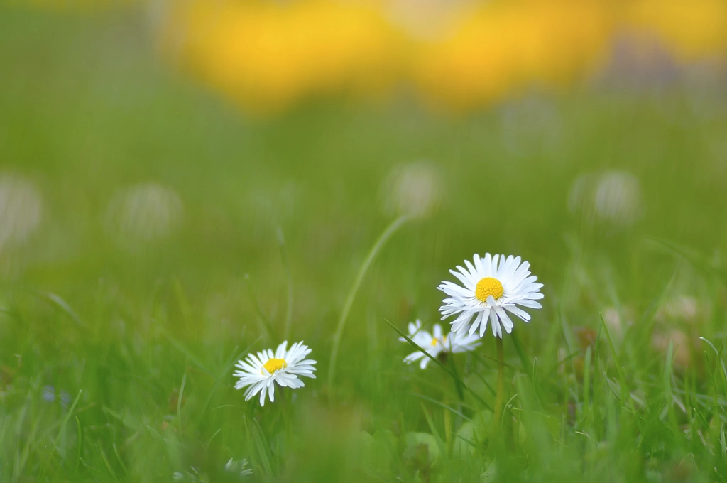 Spring by Arkadii Shapoval on 500px.com