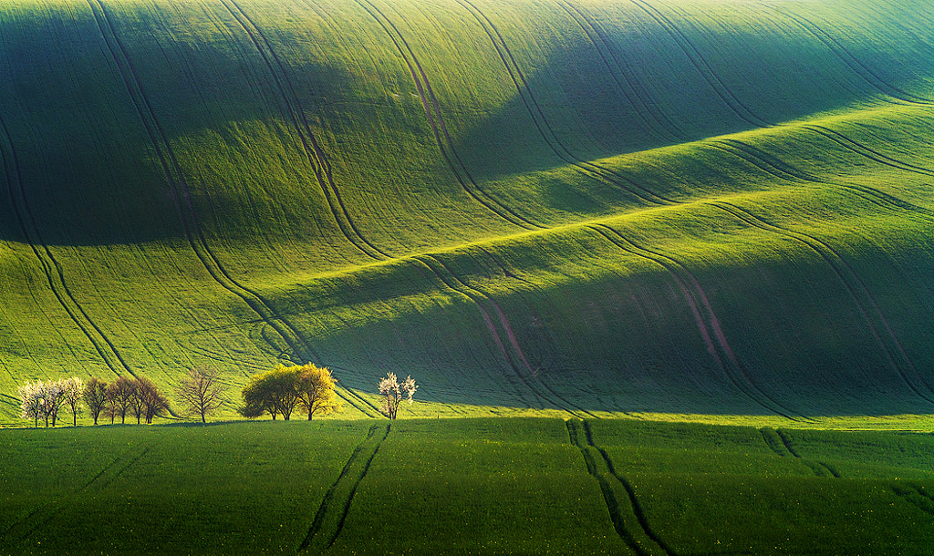 Blooming... by Marcin Sobas on 500px.com